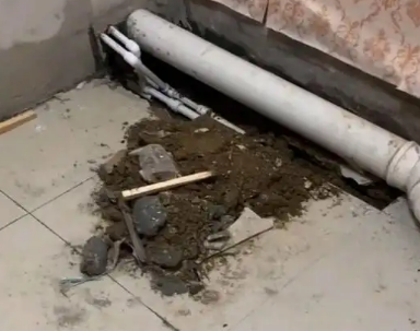 通道卫生间漏水检测哪家好